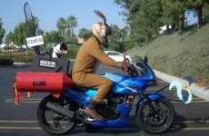 Wilie-coyote motorcycle.jpg