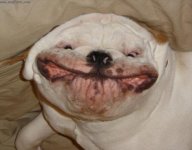 Yabba the Mutt.jpg