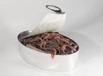 can-worms-1.jpg