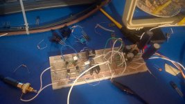 WP_20160816_006.jpg