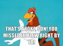 image.jpeg