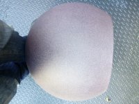 IMG_20161006_105213.jpg