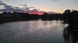 DSC_0443.jpg