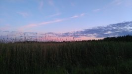 DSC_0439.jpg