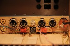 backpanel1.jpg