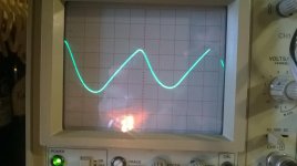 WP_20160613_002.jpg