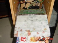 dsc04368.jpg