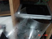 dsc04374.jpg