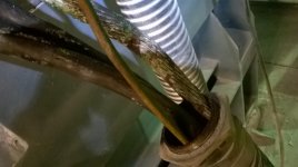 WP_20160716_05_48_08_Pro.jpg