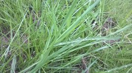 WP_20160716_17_01_47_Pro.jpg