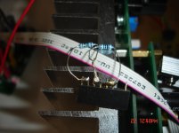 DSC08233.jpg
