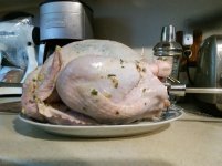 IMG_20161009_161824.jpg