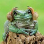 FROG HEADPHONES.jpg