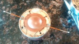 IMG_20160821_102941.jpg