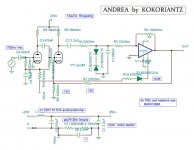 ANDREA2.jpg