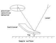 afm.jpg