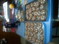 20161212_110903.jpg