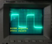 ECC88 Ampwire 20khz square_zpsaekldr42.jpg