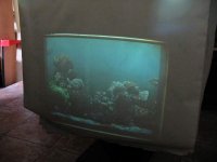 aquarium.jpg
