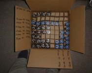 dsc00338 8x6.jpg