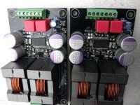stuffed_pair_3_20160820.jpg