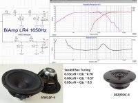 BiAmp LR41650Hz.jpg