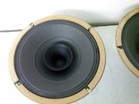 Iskra-8-inch-AlNiCo.jpg