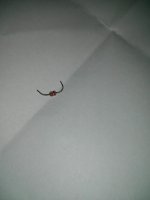 IMG_20170123_182211.jpg