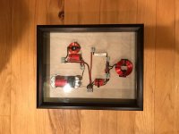 IMG_3621.jpeg