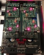 Puregain  Gain module.jpg