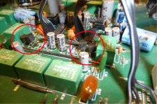 P101 transistors.jpg