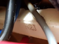 20161119_083244.jpg