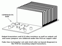 leach_amp_assembly.gif