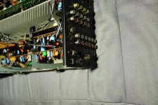 DSC07233.jpg
