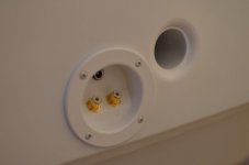 DSC_6182.jpg