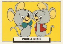 P and D.jpg