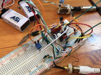 Aksa-JFET-BJT-Headamp-solderless-BB.jpg