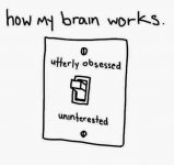 Howmybrainworks.jpg