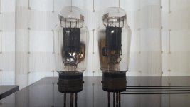 20170305_090056.jpg