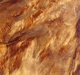 ActiveGrain1.52.jpg