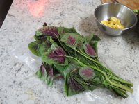 IMG_0442.jpg