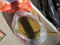 IMG_0436.jpg