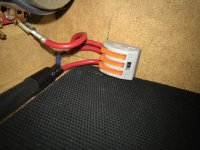 IMG_2503.jpg