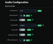 audio.JPG