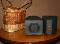 IMG_5504_cr.jpg