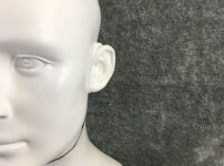 Ear Detail 2.jpg