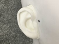 Ear Detail.jpg