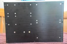 Pearl II Build (1) - L_Res.jpg