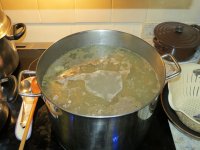 IMG_0451.jpg
