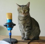 MyMic+StarCat.JPG